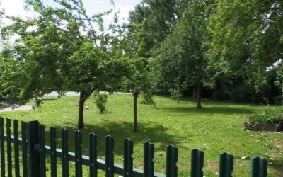 Elton Primary School Community Garden.